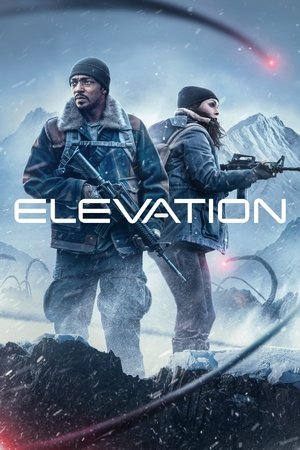 Elevation Vj Junior