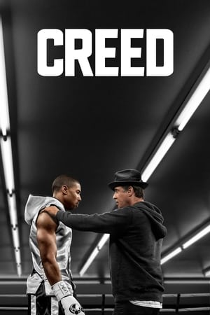 Creed Vj Junior