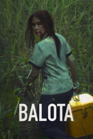 Balota Vj Ham
