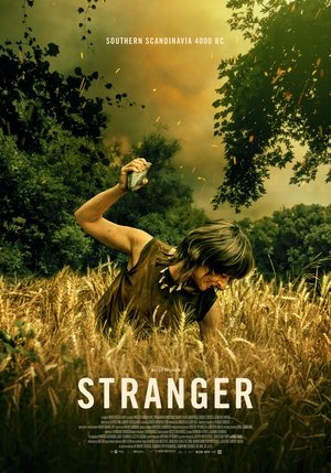 Stranger Vj Ham