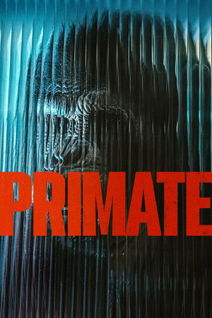 Primate  Vj  Junior