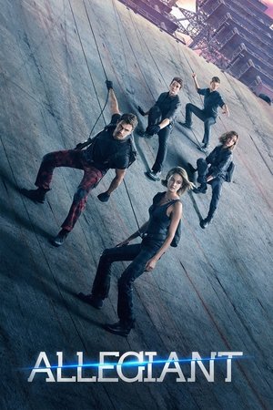 Allegiant Vj Junior