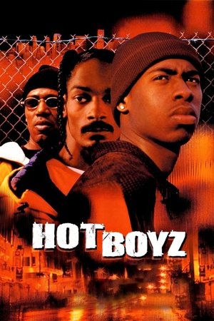 Hot Boyz VJ Emmy