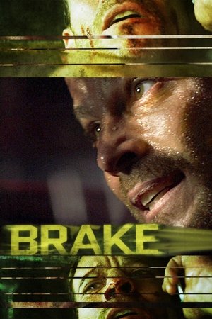 Brake Vj  Junior
